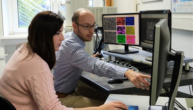 Phd students at work