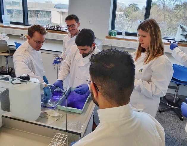 BIOREMIA ESRs during the UCD lab visit