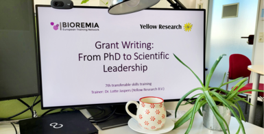 Transferable Skills Training on Grant Writing