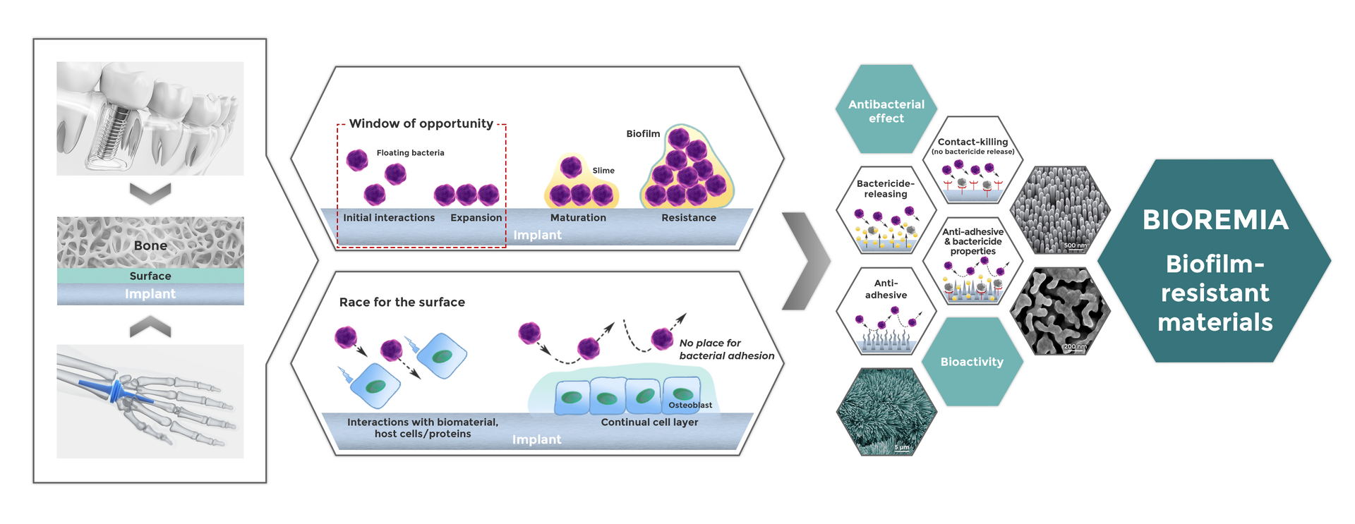 Biofilm-resistant materials
