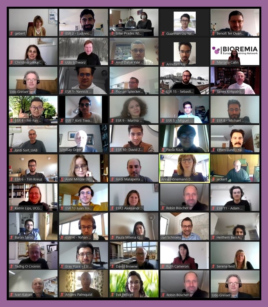 group photo of participants of the BIOREMIA Winter School on Zoom