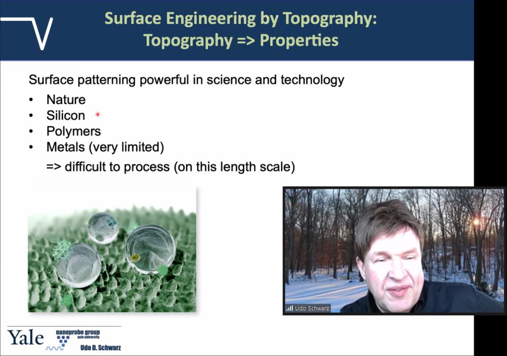 Image of one slide of the e-seminar with Prof. Schwarz from Yale University, USA